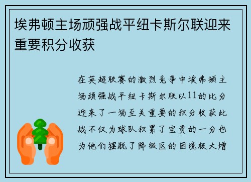埃弗顿主场顽强战平纽卡斯尔联迎来重要积分收获
